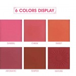 Imagic 6 Color blush Palette